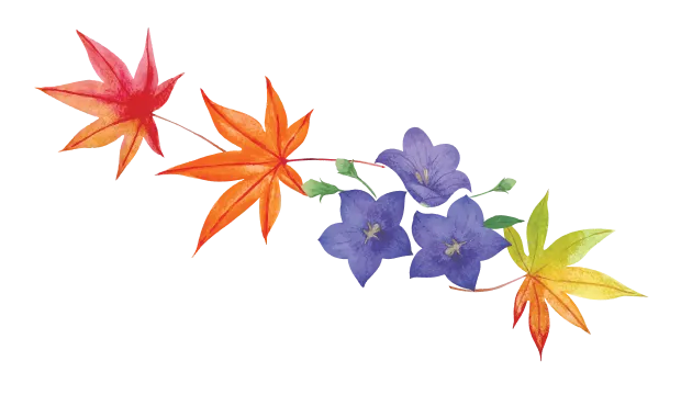イラスト