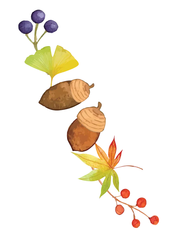イラスト