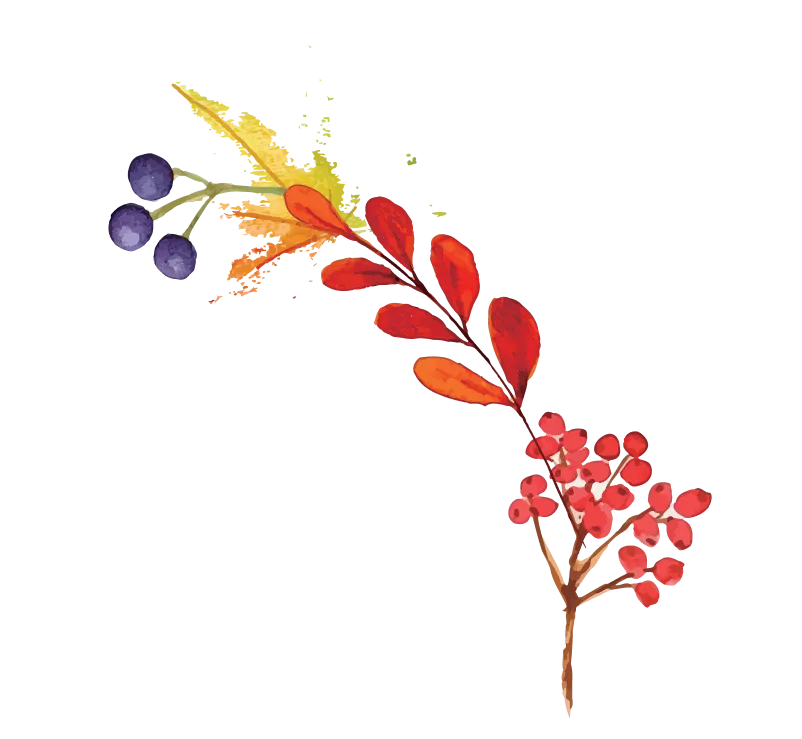 イラスト
