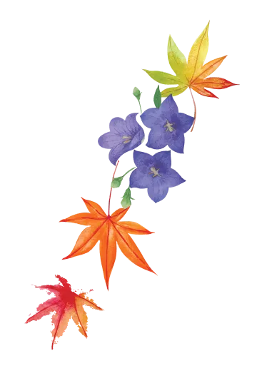 イラスト