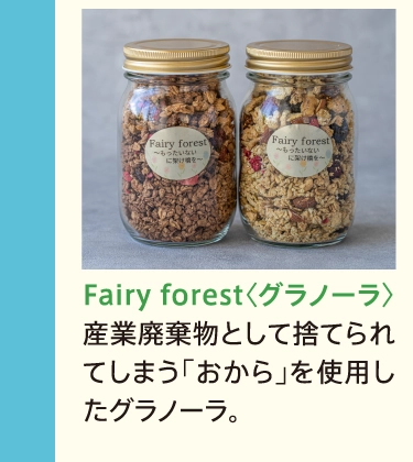 Fairy forest〈グラノーラ〉産業廃棄物として捨てられてしまう「おから」を使用したグラノーラ。
            