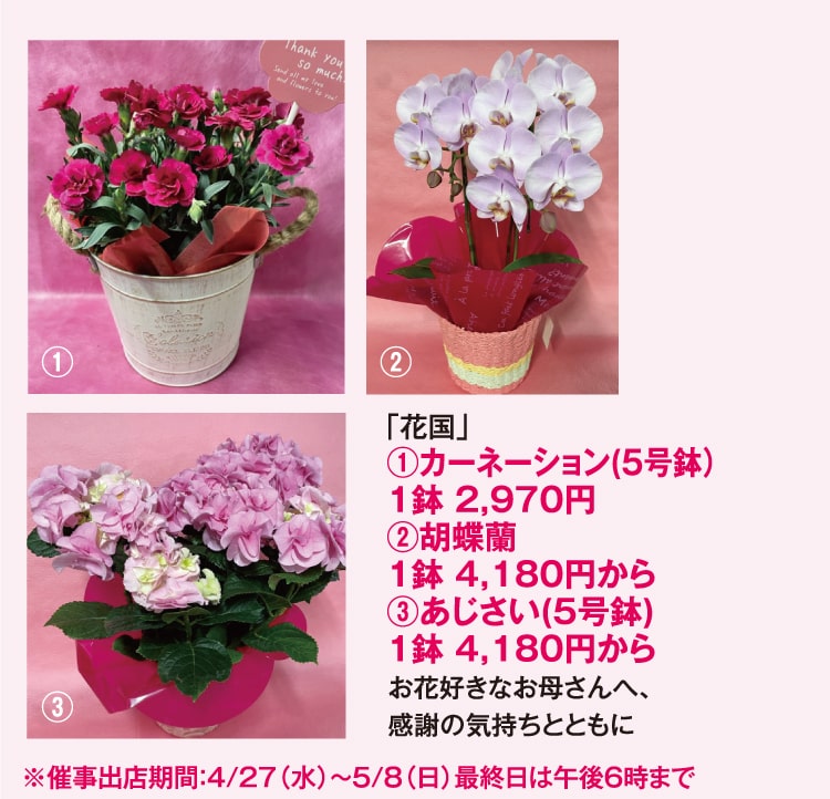 ｢花国｣ ①カーネーション(5号鉢）1鉢 2,970円 ②胡蝶蘭 1鉢 4,180円から ③あじさい(5号鉢) 1鉢 4,180円から お花好きなお母さんへ、感謝の気持ちとともに ※催事出店期間：4/27（水）〜5/8（日）最終日は午後6時まで