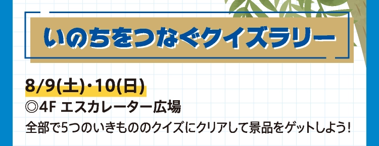 いのちをつなぐクイズラリー