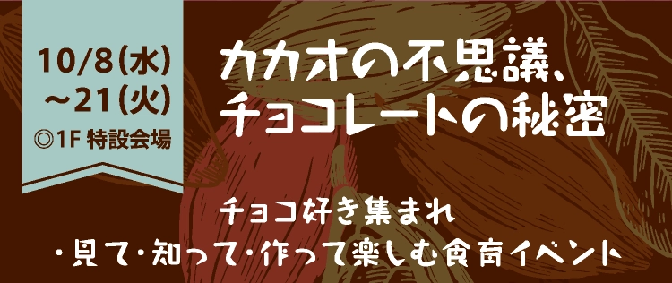 カカオの不思議、チョコレートの秘密
