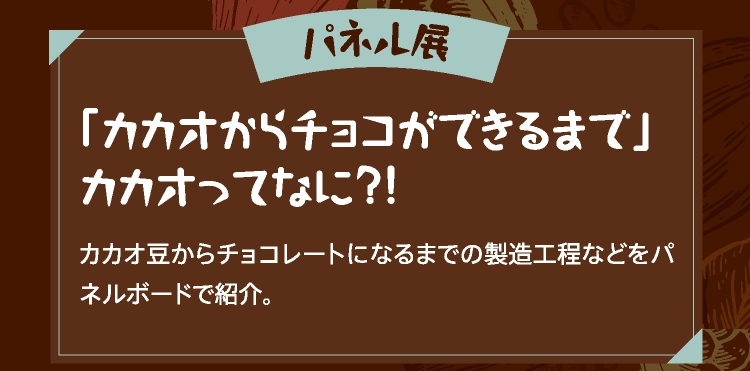 「カカオからチョコができるまで」カカオってなに？！