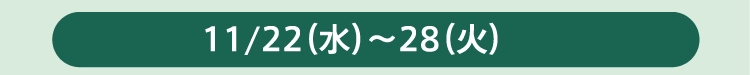 11/22（水）～28（火）