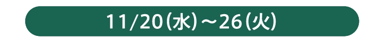 11/20（水）～26（火）