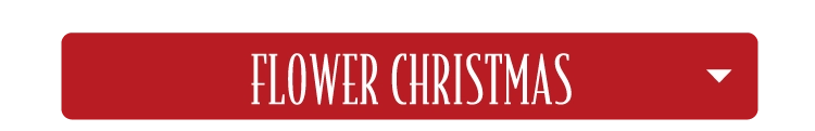 FLOWER CHRISTMAS