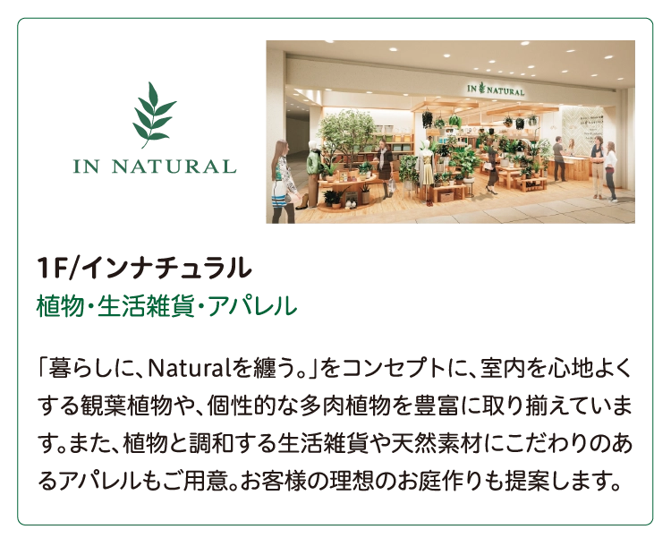 1F/インナチュラル
植物・生活雑貨・アパレル